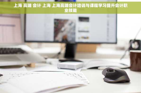 上海 高端 会计 上海 上海高端会计培训与课程学习提升会计职业技能