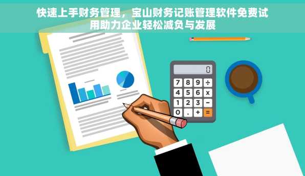快速上手财务管理，宝山财务记账管理软件免费试用助力企业轻松减负与发展