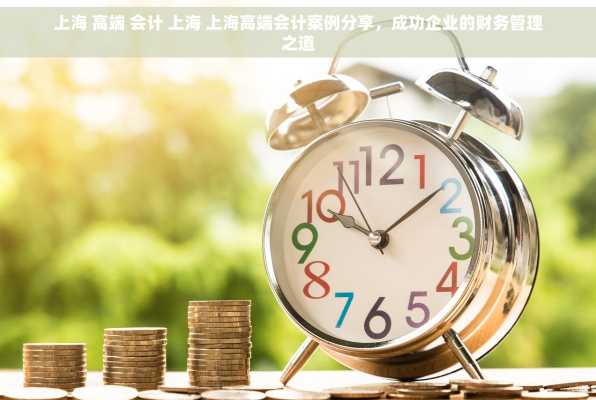 上海 高端 会计 上海 上海高端会计案例分享，成功企业的财务管理之道
