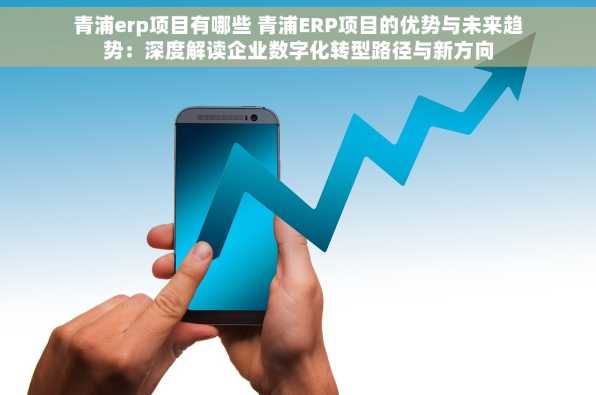 青浦erp项目有哪些 青浦ERP项目的优势与未来趋势：深度解读企业数字化转型路径与新方向