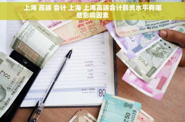 上海 高端 会计 上海 上海高端会计薪资水平有哪些影响因素
