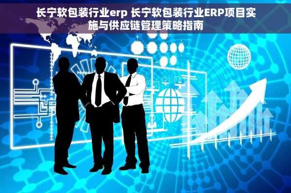 长宁软包装行业erp 长宁软包装行业ERP项目实施与供应链管理策略指南