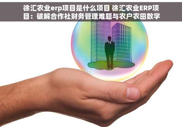 徐汇农业erp项目是什么项目 徐汇农业ERP项目：破解合作社财务管理难题与农户农田数字化管理神器