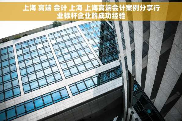 上海 高端 会计 上海 上海高端会计案例分享行业标杆企业的成功经验