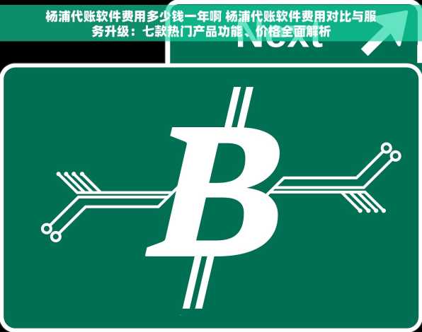 杨浦代账软件费用多少钱一年啊 杨浦代账软件费用对比与服务升级：七款热门产品功能、价格全面解析