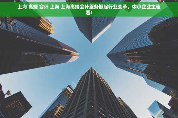 上海 高端 会计 上海 上海高端会计服务掀起行业变革，中小企业主速看！