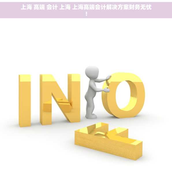 上海 高端 会计 上海 上海高端会计解决方案财务无忧!