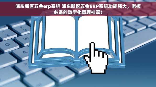 浦东新区五金erp系统 浦东新区五金ERP系统功能强大，老板必备的数字化管理神器！