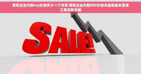 普陀企业内部erp价格多少一个月啊 普陀企业内部ERP价格及最新版本管理工具功能详解