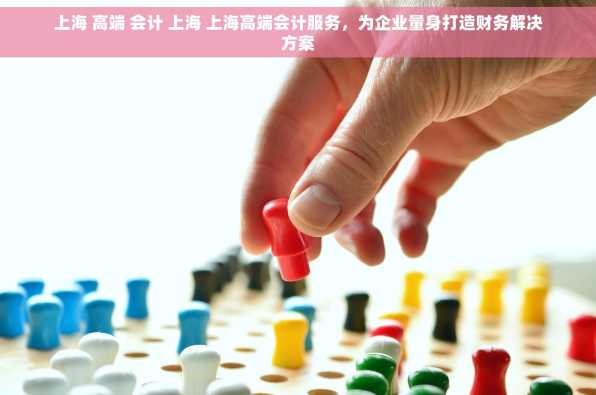 上海 高端 会计 上海 上海高端会计服务，为企业量身打造财务解决方案