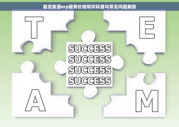 嘉定能源erp服务价格知识科普与常见问题解答