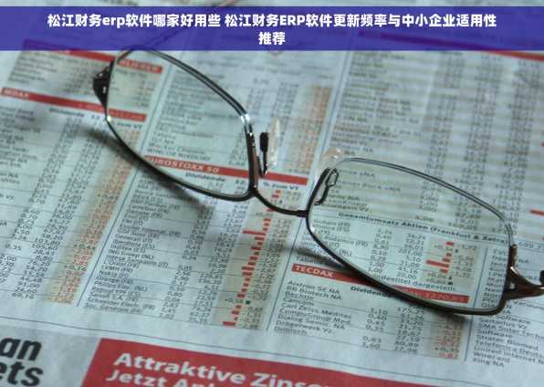 松江财务erp软件哪家好用些 松江财务ERP软件更新频率与中小企业适用性推荐