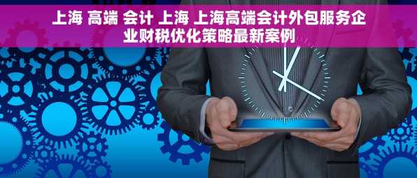 上海 高端 会计 上海 上海高端会计外包服务企业财税优化策略最新案例