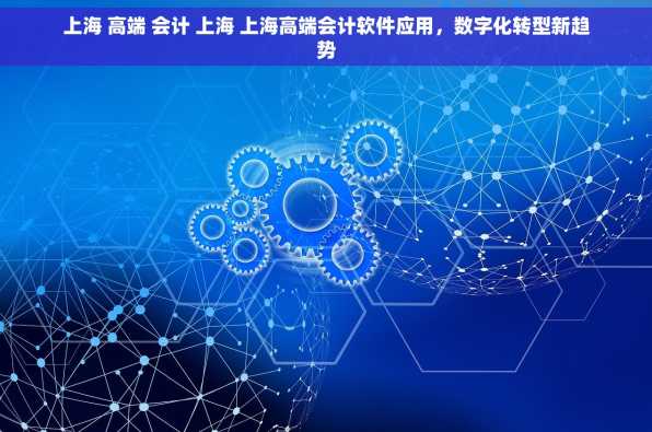 上海 高端 会计 上海 上海高端会计软件应用，数字化转型新趋势