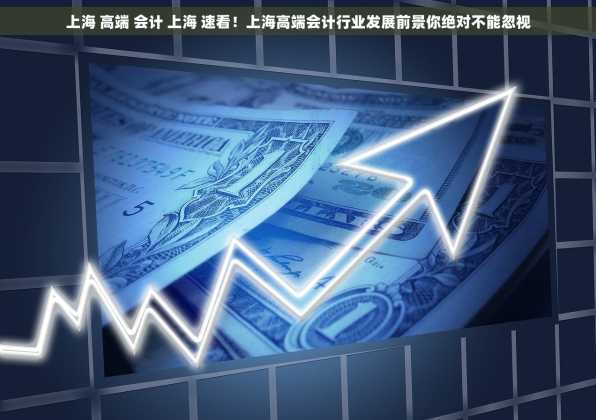 上海 高端 会计 上海 速看！上海高端会计行业发展前景你绝对不能忽视