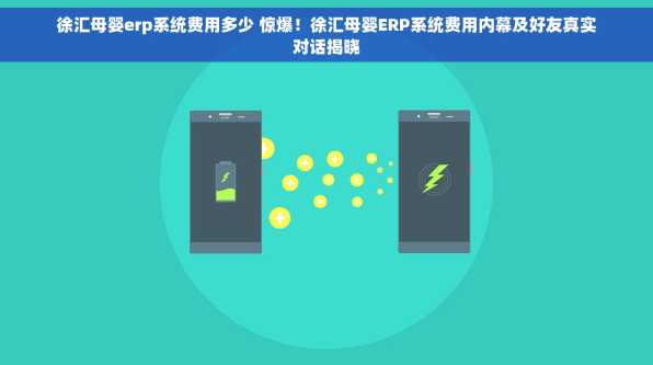 徐汇母婴erp系统费用多少 惊爆！徐汇母婴ERP系统费用内幕及好友真实对话揭晓