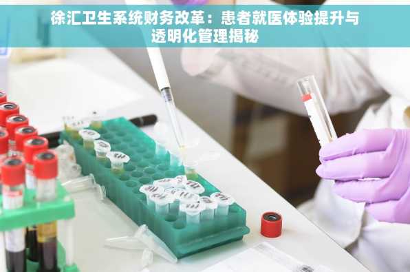 徐汇卫生系统财务改革：患者就医体验提升与透明化管理揭秘