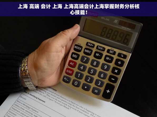 上海 高端 会计 上海 上海高端会计上海掌握财务分析核心技能！