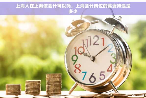上海人在上海做会计可以吗，上海会计岗位的薪资待遇是多少