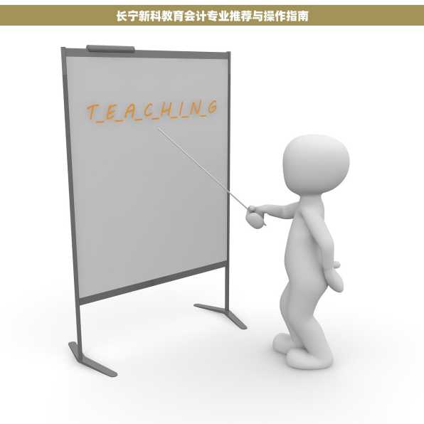 长宁新科教育会计专业推荐与操作指南