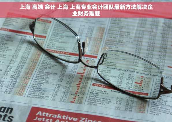 上海 高端 会计 上海 上海专业会计团队最新方法解决企业财务难题