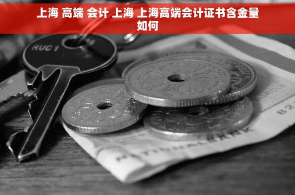 上海 高端 会计 上海 上海高端会计证书含金量如何