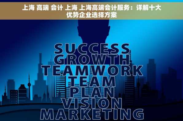 上海 高端 会计 上海 上海高端会计服务：详解十大优势企业选择方案