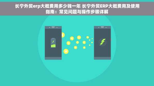 长宁外贸erp大概费用多少钱一年 长宁外贸ERP大概费用及使用指南：常见问题与操作步骤详解