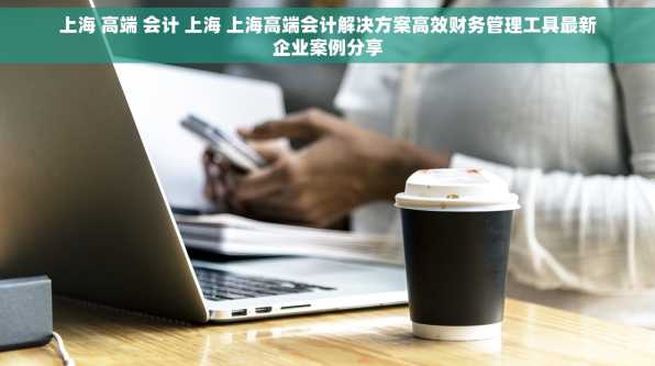 上海 高端 会计 上海 上海高端会计解决方案高效财务管理工具最新企业案例分享