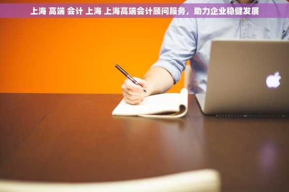 上海 高端 会计 上海 上海高端会计顾问服务，助力企业稳健发展