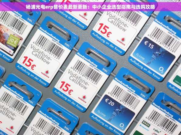 杨浦光电erp售价表最新更新：中小企业选型指南与选购攻略