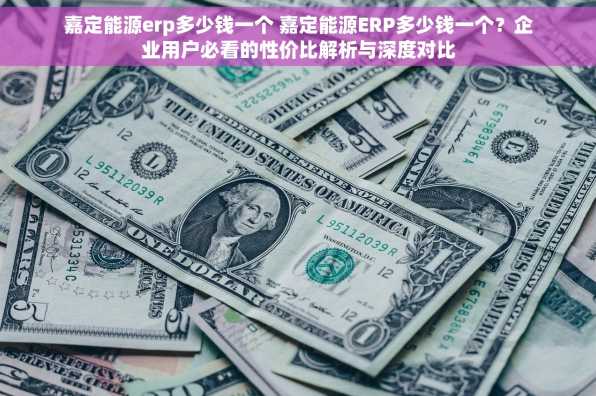 嘉定能源erp多少钱一个 嘉定能源ERP多少钱一个？企业用户必看的性价比解析与深度对比