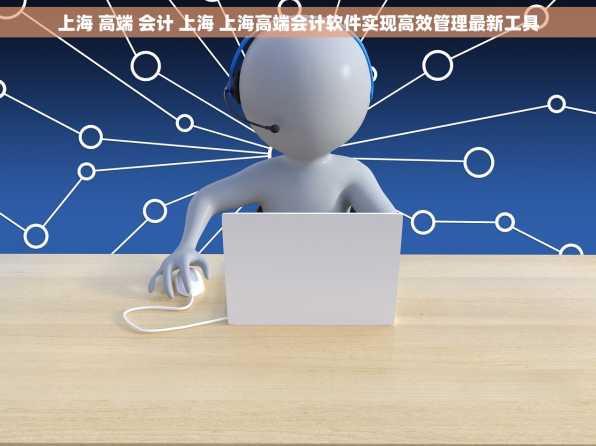 上海 高端 会计 上海 上海高端会计软件实现高效管理最新工具