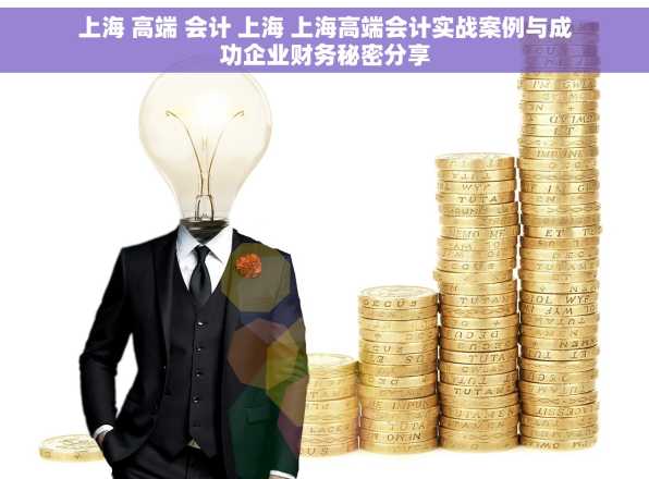 上海 高端 会计 上海 上海高端会计实战案例与成功企业财务秘密分享