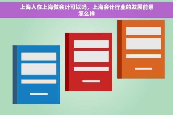 上海人在上海做会计可以吗，上海会计行业的发展前景怎么样