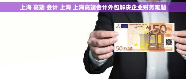 上海 高端 会计 上海 上海高端会计外包解决企业财务难题