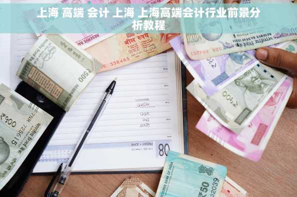 上海 高端 会计 上海 上海高端会计行业前景分析教程