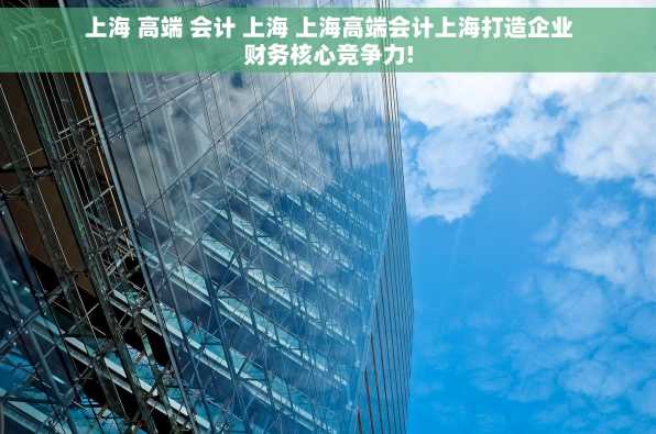 上海 高端 会计 上海 上海高端会计上海打造企业财务核心竞争力!