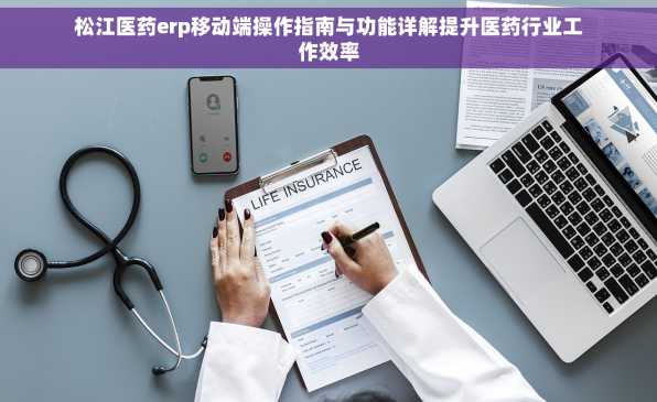 松江医药erp移动端操作指南与功能详解提升医药行业工作效率