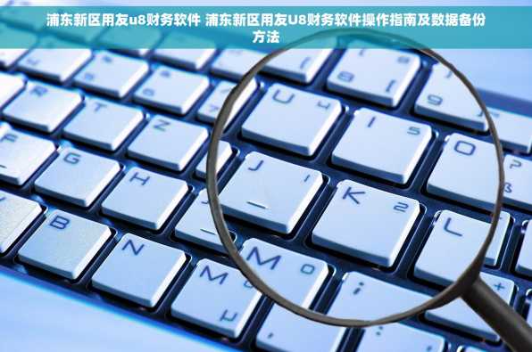 浦东新区用友u8财务软件 浦东新区用友U8财务软件操作指南及数据备份方法