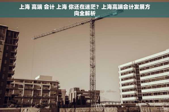 上海 高端 会计 上海 你还在迷茫？上海高端会计发展方向全解析