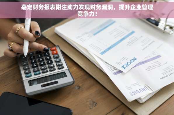 嘉定财务报表附注助力发现财务漏洞，提升企业管理竞争力！
