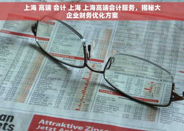 上海 高端 会计 上海 上海高端会计服务，揭秘大企业财务优化方案