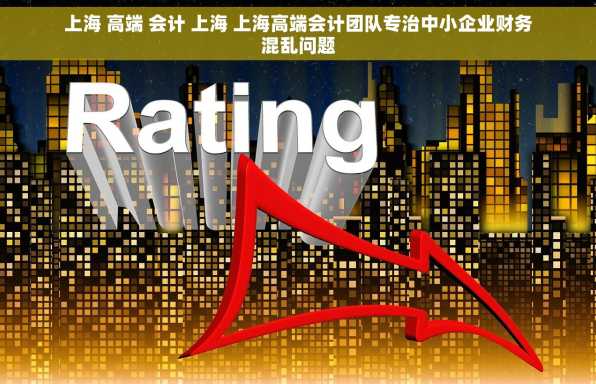 上海 高端 会计 上海 上海高端会计团队专治中小企业财务混乱问题
