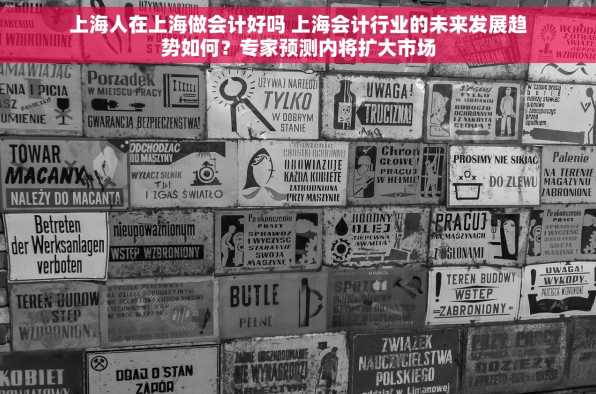 上海人在上海做会计好吗 上海会计行业的未来发展趋势如何？专家预测内将扩大市场