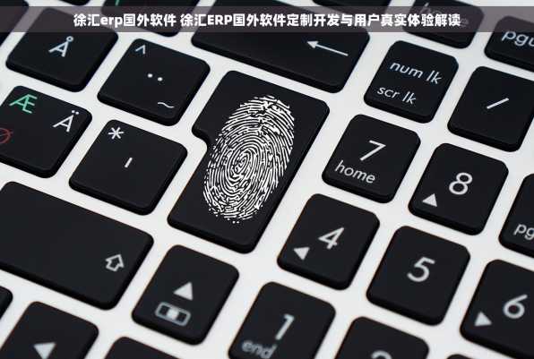徐汇erp国外软件 徐汇ERP国外软件定制开发与用户真实体验解读