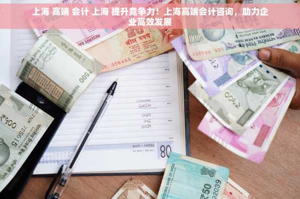上海 高端 会计 上海 提升竞争力！上海高端会计咨询，助力企业高效发展