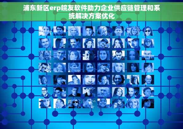 浦东新区erp皖友软件助力企业供应链管理和系统解决方案优化