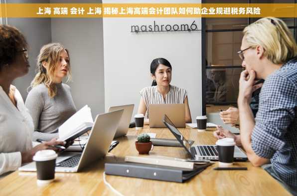 上海 高端 会计 上海 揭秘上海高端会计团队如何助企业规避税务风险