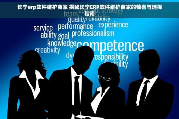 长宁erp软件维护商家 揭秘长宁ERP软件维护商家的惊喜与选择指南